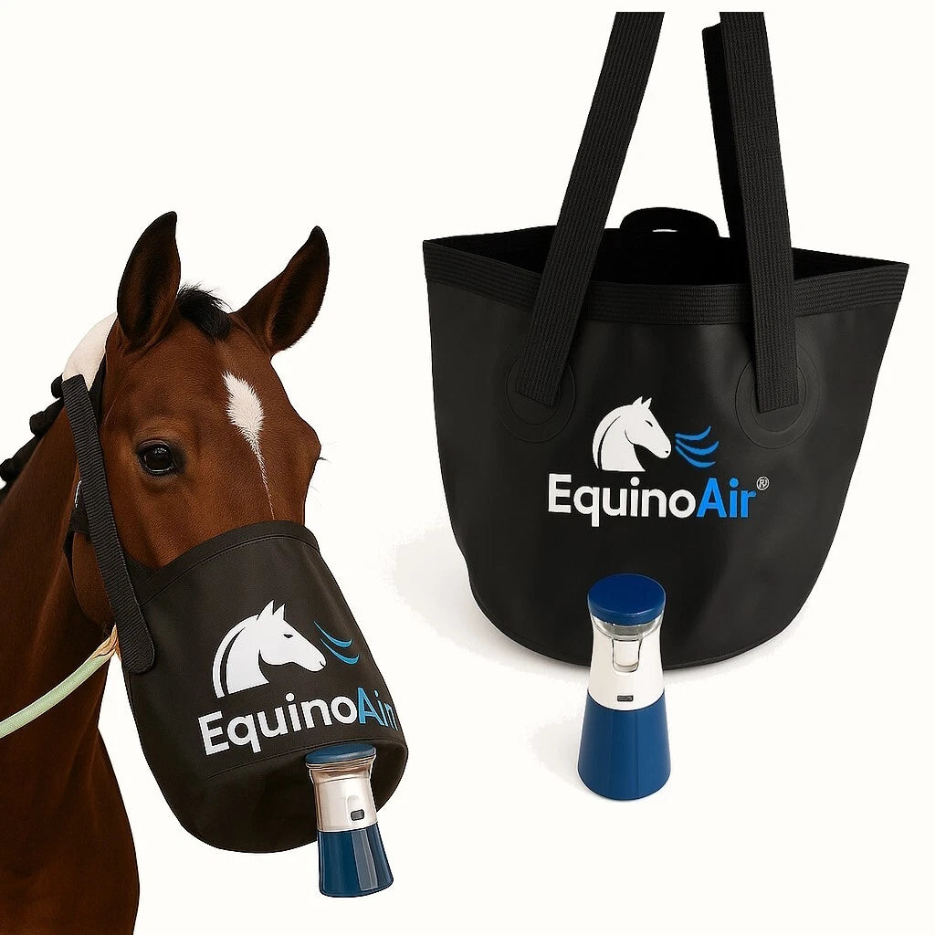 EquinoAir – Mobiler Pferdeinhalator mit Kopf-Maske