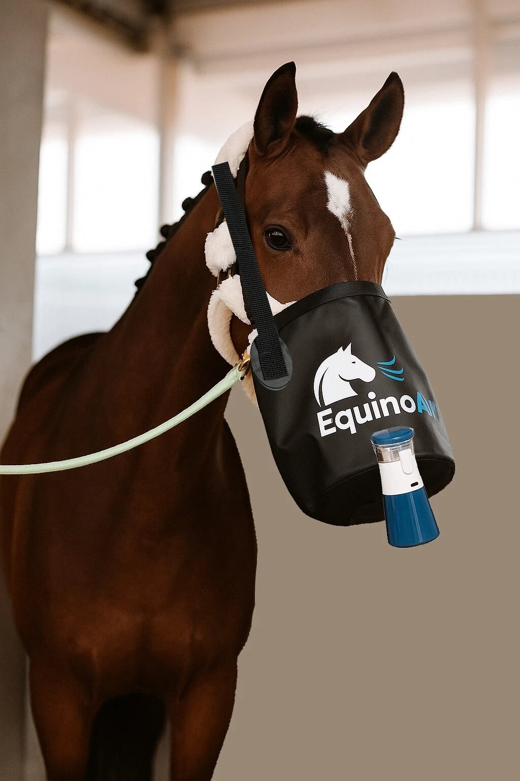 EquinoAir – Mobiler Pferdeinhalator mit Kopf-Maske